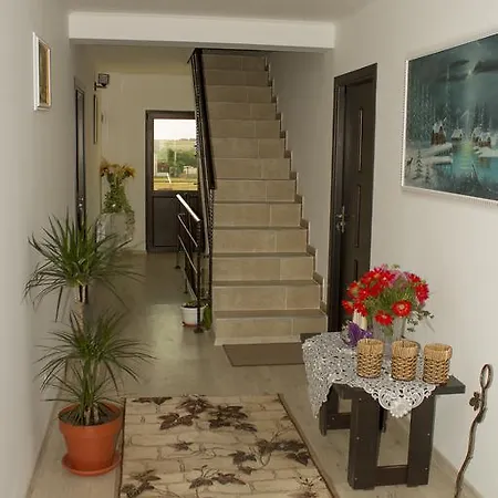 Casa La Flori Guest house Techirghiol