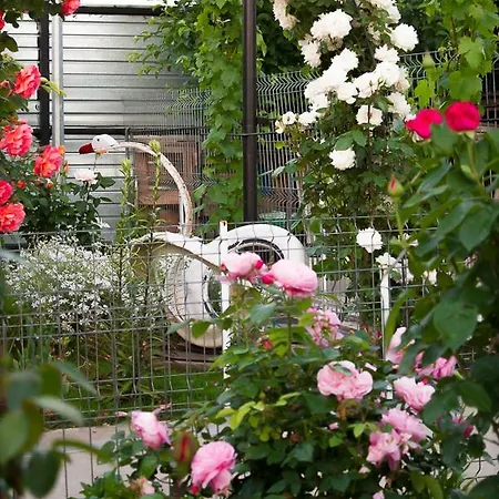 Guest house Casa La Flori *