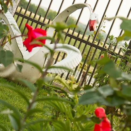 Casa La Flori * Techirghiol