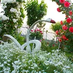 Casa La Flori Techirghiol